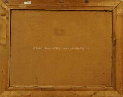  / Po dešti / Jan Bohumil Pospíšil