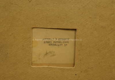  / Lesní potok / Jan B. Minařík