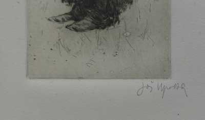  / Děvče se džbánem / Joža Uprka