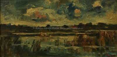  / Jihočeský rybník / František Líbal