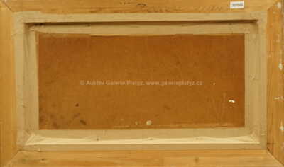  / Jihočeský rybník / František Líbal