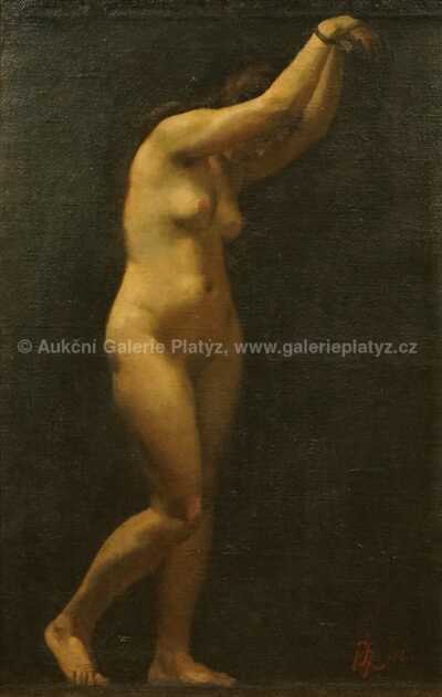  / Spoutaná / František Ženíšek jun.