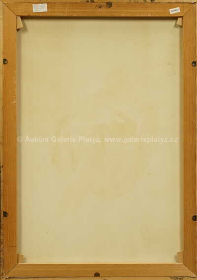  / Dívka / Karel Laštovka