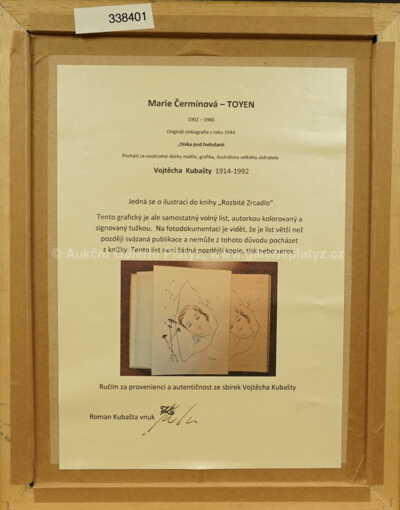  / Dívka pod hvězdami / Marie Čermínová - Toyen