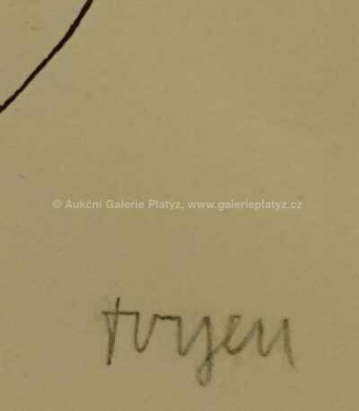  / Dívka pod hvězdami / Marie Čermínová - Toyen