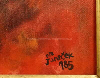  / Hlava / Ota Janeček