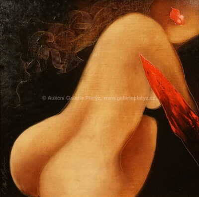  / Ohlédnutí / Jan Rapin