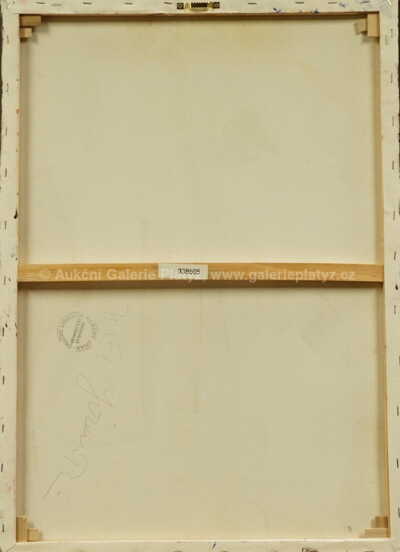  / Rozhovor / Robert Jiran
