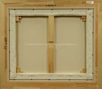  / Zahradník je víc než ajťák! / František Ringo Čech