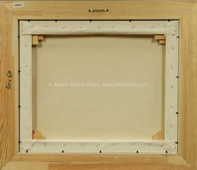  / Snídaně v Tauern SPA / František Ringo Čech