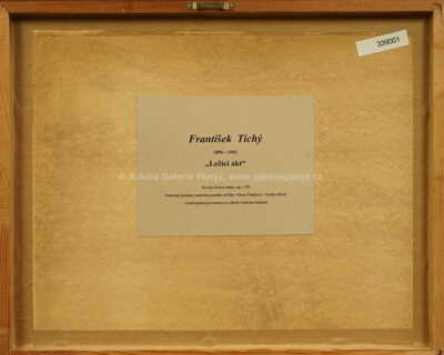  / Ležící akt / František  Tichý