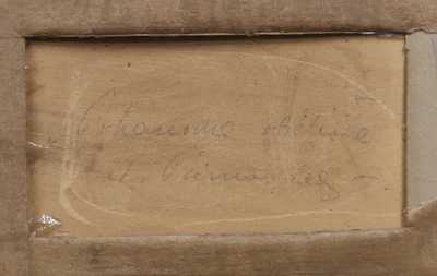  / Pohanské obětiště / Jaroslav Panuška