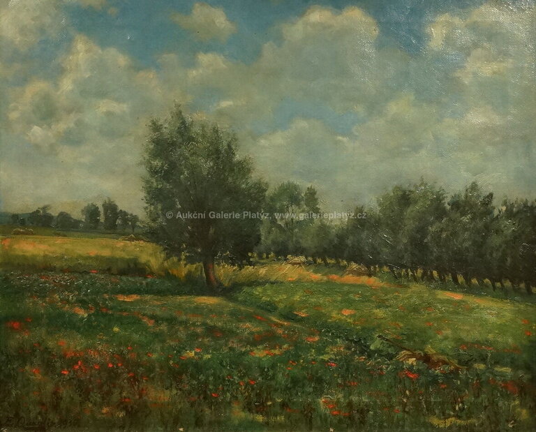  / Rozkvetlá louka / Franz Quaglio