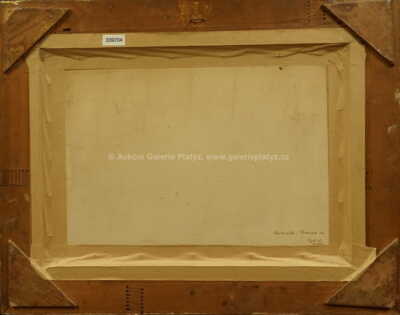  / Chaloupka na Vysočině / Ota Bubeníček