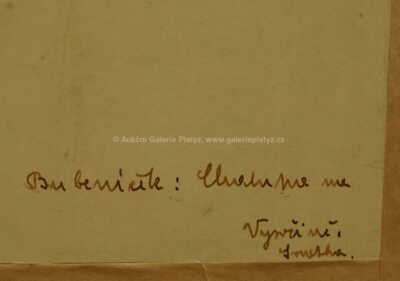  / Chaloupka na Vysočině / Ota Bubeníček