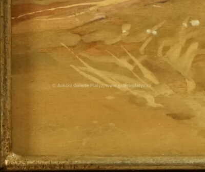  / Na cestě / Josef Krejsa