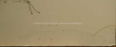  / O svých slovech přemýšlej / Krištof Kintera