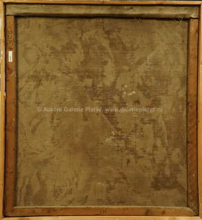  / Rodina / Míla Doleželová