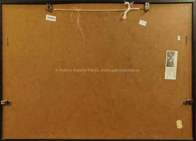  / V baru / Josef Jíra