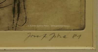  / V baru / Josef Jíra