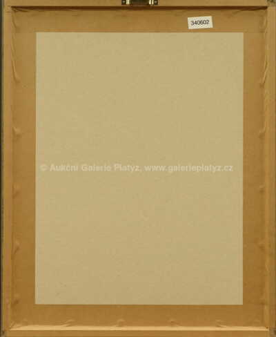  / Opilý Ikarus / Josef Jíra