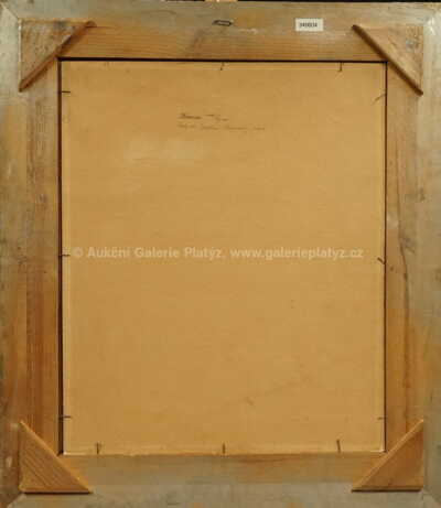  / Kamenický potok / Alois Kalvoda