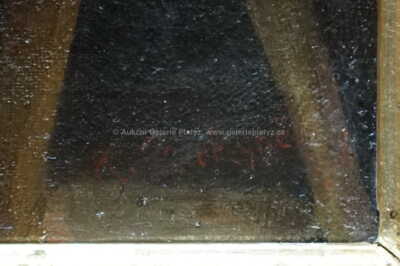  / Čtenářka / Karel Purkyně