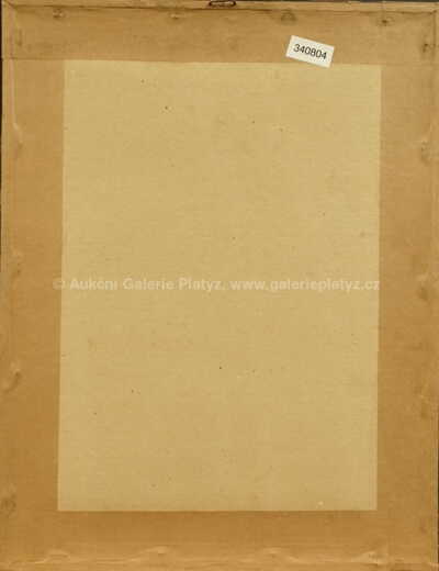  / Dívčí akt / Václav Špála