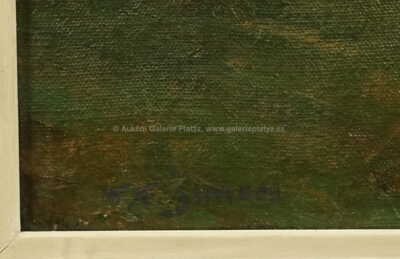  / Ze Šumavy / František Tavík Šimon