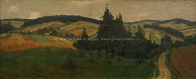  / Ze Šumavy / František Tavík Šimon