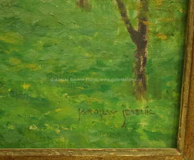  / Z rozkvetlého Petřína / Jaroslav Šetelík