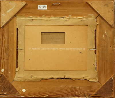  / Chalupa z Borové / Jan Honsa