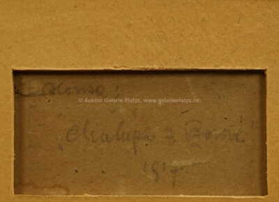  / Chalupa z Borové / Jan Honsa