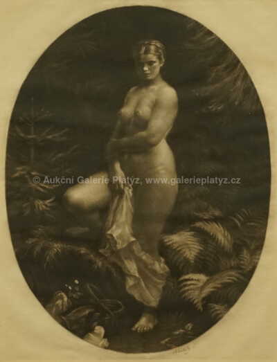  / V lese / Max Švabinský