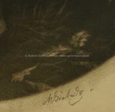  / V lese / Max Švabinský