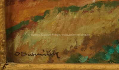  / Snopy / Ota Bubeníček