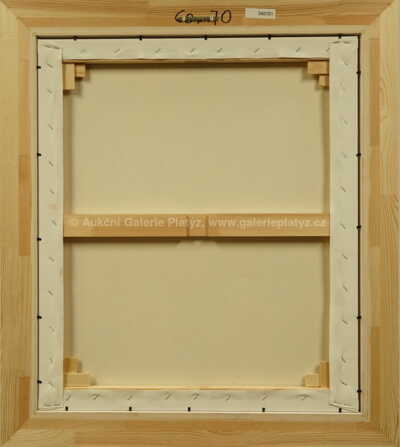  / Eurohujeři / František Ringo Čech