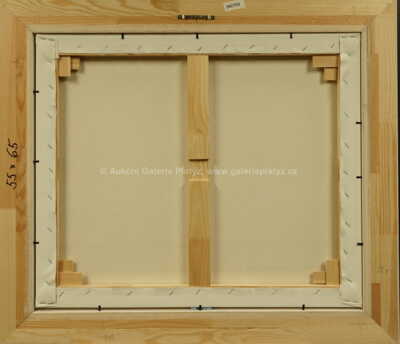  / Pražákům těm je tu hej, ty nikam nezablouděj / František Ringo Čech