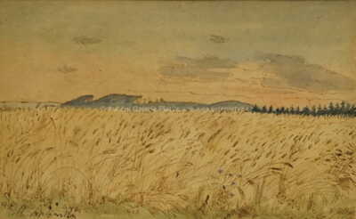  / Obilný lán / Max Švabinský