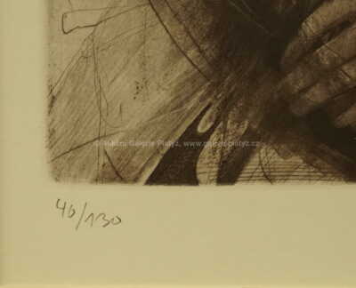  / Motiv s kytarou / Karel Demel