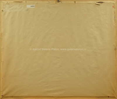  / Motiv s kytarou / Karel Demel