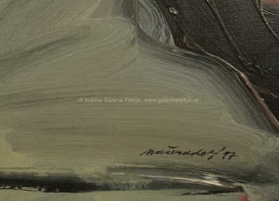  / Rozpor / Jiří Načeradský