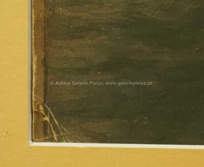  / Výletní parník /  