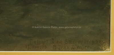  / Výletní parník /  