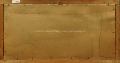  / Výletní parník /  