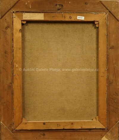  / Portrét Marie Majerové / Vilém (Willi) Nowak