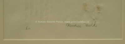  / Klíčnice / Olbram Zoubek