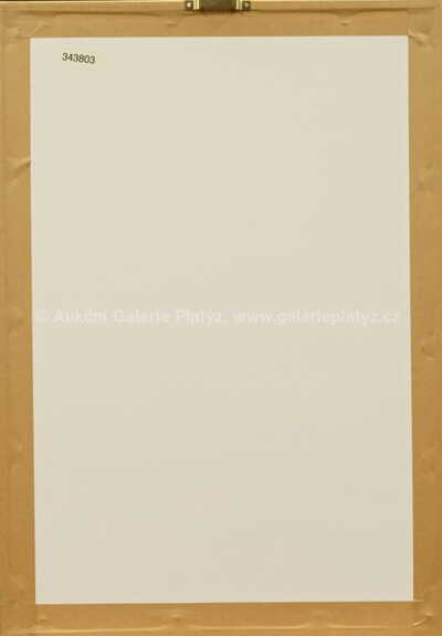  / Klíčnice / Olbram Zoubek