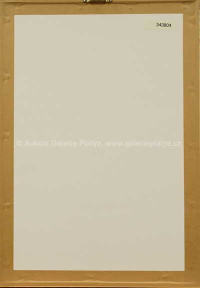  / Klíčnice / Olbram Zoubek