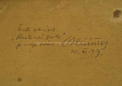  / Kvetoucí pole / Oldřich Blažíček